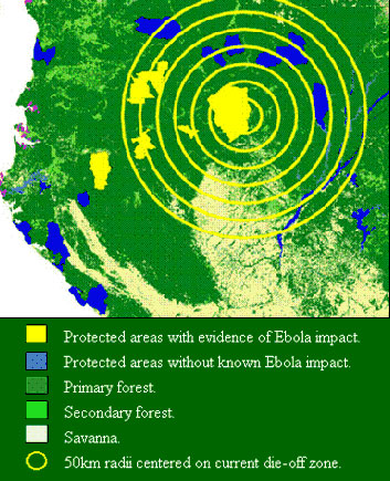 ebola spread