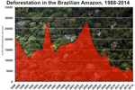 photo of What's the current deforestation rate in the Amazon rainforest? image