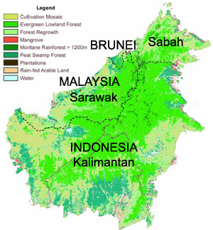 Borneo Deforestation Map