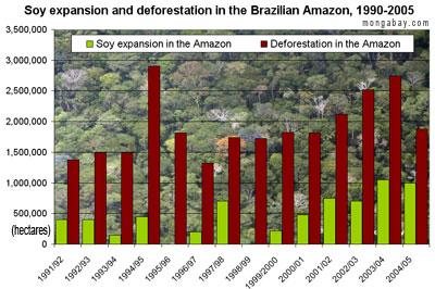 amazon deforestation facts