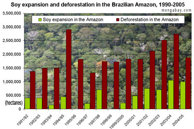 amazon temperature graph