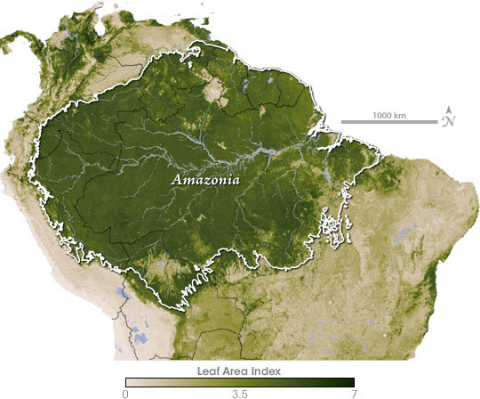 layers of rainforest. The Amazon Rainforest is a
