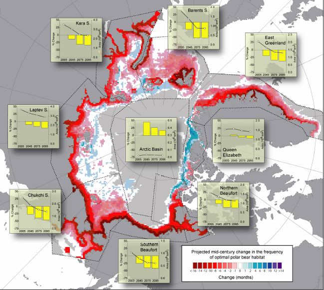 Two-thirds of polar bears at risk of extinction by 2050