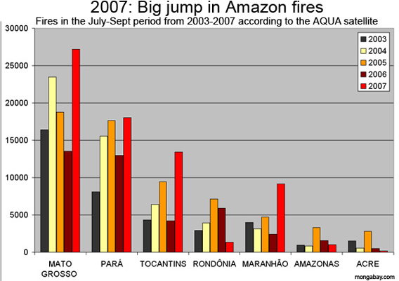 2007 Amazon fires among worst ever