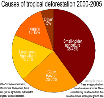 pie chart showing causes of tropical deforestation / drivers of rain forest destruction
