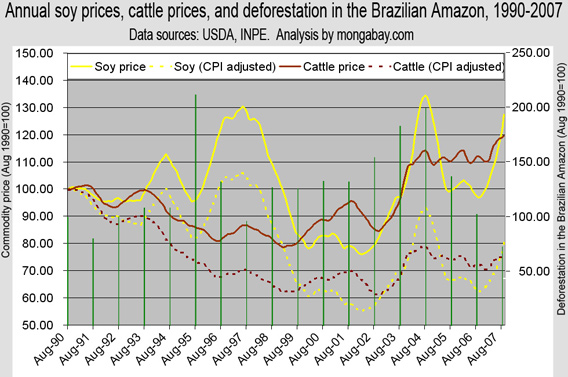 cattle  prices