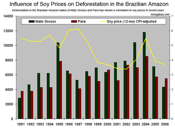 Graphs On Deforestation