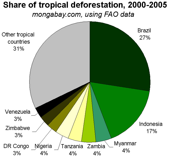Deforestation Chart
