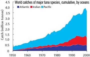 bluefin tuna graph