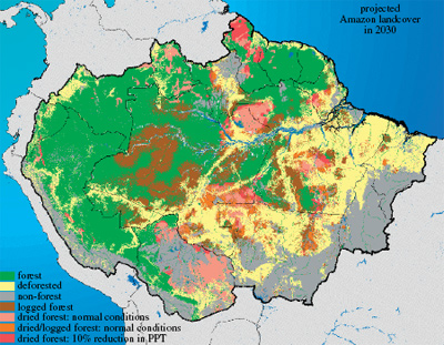 Amazonian Rainforest Map