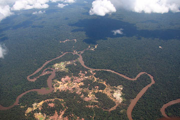 gold mining brazil