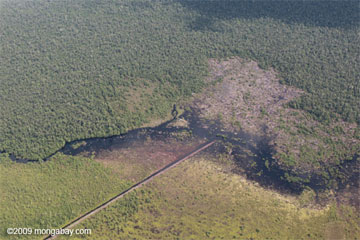 Clearing and draining of peatland for oil palm in Central Kalimantan in May 2009 