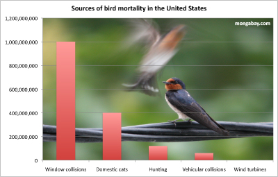 Fuente de mortalidad de aves en los Estados Unidos