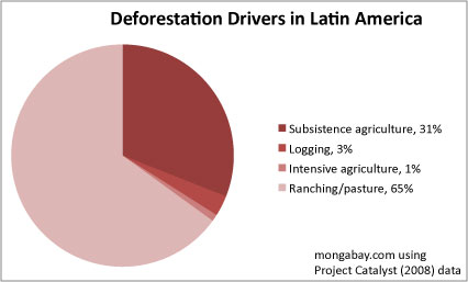 Main Causes Of Deforestation In Tropical Africa