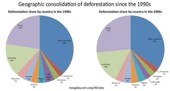 What Causes Deforestation