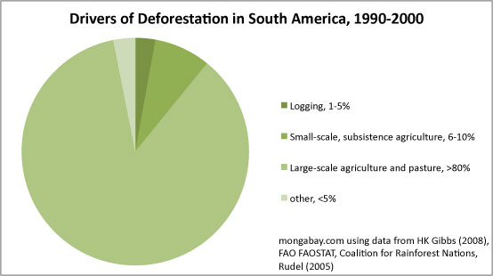 Effects of deforestation in latin america