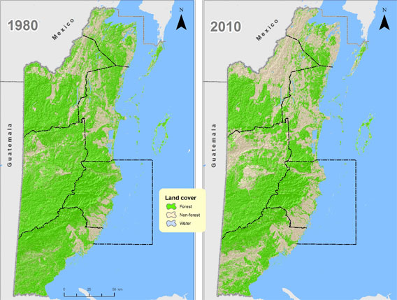 deforestation in belize