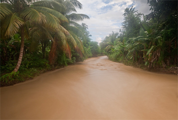 A river fed by the Massif de la Hotte watershed runs brown as a result of deforestation upstream