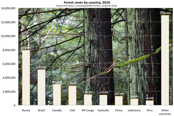 Global forest cover by country