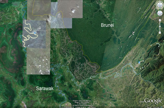 Logging roads and damaged forest in Sarawak compared with the healthy forest of Brunei