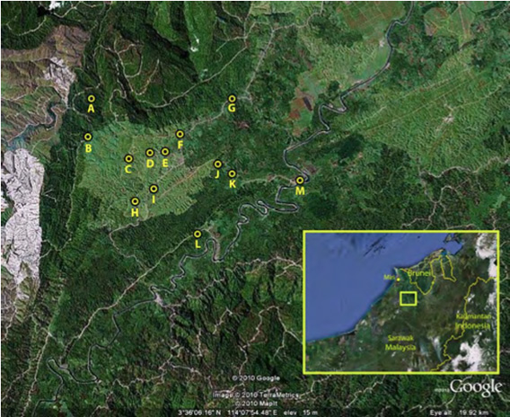 map of contested IOI plantation