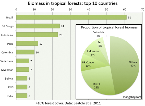 Chart showing biomass in tropical forests by country