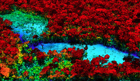 Breakthrough technology enables 3D mapping of rainforests, tree by tree