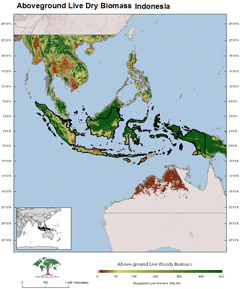 Indonesia carbon map