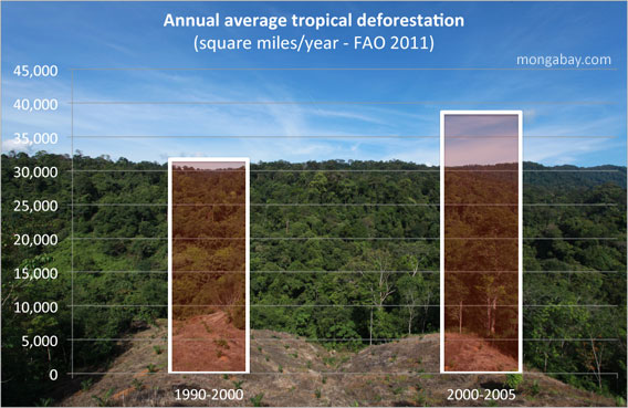 global deforestation rate