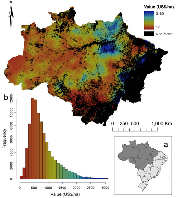 amazon deforestation map