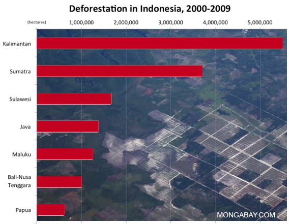 deforestation in Indonesia
