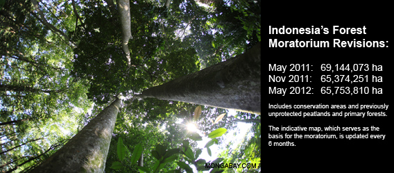 Indonesia's forest moratorium - by the numbers