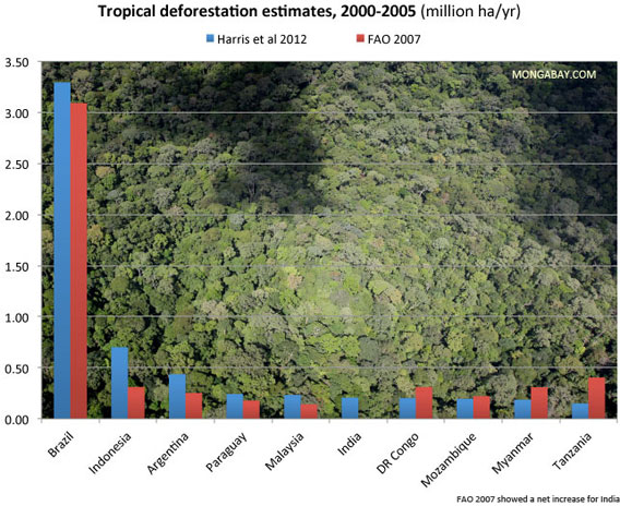 Chart: Countries with the highest gross forest loss between 2000 and 2005 according to the new study and earlier work by the FAO.