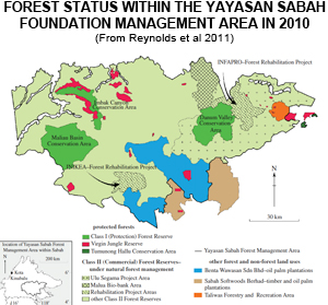 Yayasan Sabah Forest Management Area in 2010.