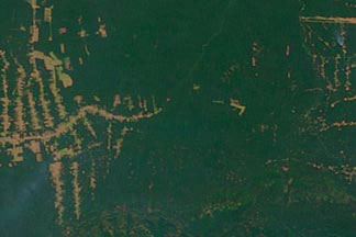 Amazon Deforestation:July 20, 2000