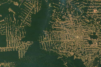 Amazon Deforestation:August 2, 2010