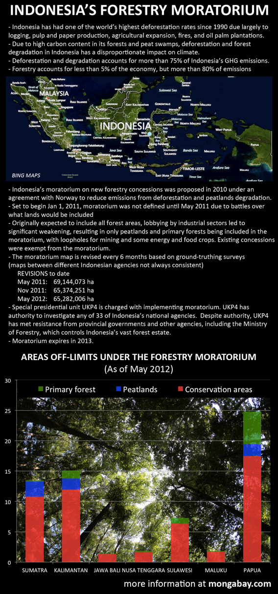 Chart: Indonesia's forest moratorium