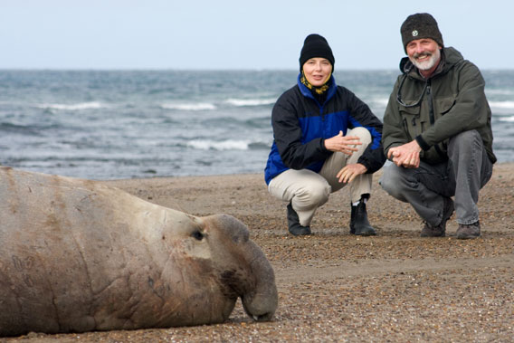 Campagna with Isabella Rossellini, creator of Green Porno, and an elephant seal. Photo by: Jody Shapiro.