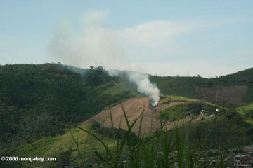 La quema de bosques y campos (esta fotografìa es en Colombia) produce cantidades importantes de hollìn, que afectan la pluviosidad, plantea amenazas y calienta la tierra. Fotografìa de Rhett A. Butler.  