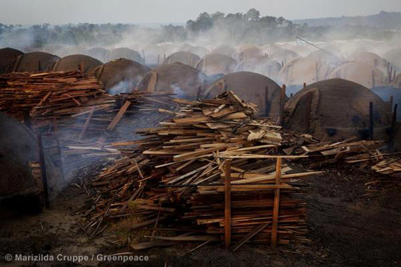 Illegal charcoal kilns in the municipality of Tucuruí. Photo by: Marizilda Cruppe/Greenpeace.