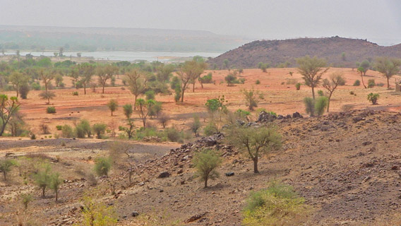 Contrary to conception, the Sahara Desert’s most common feature is really the Hamada, or stone plateaus and gravel plains, which cover over three quarters of its surface, and harbors at great distance the barely visible silhouette of the once-majestic Niger River. Photo by: Linda Leila Diatta.