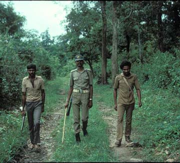  Field monitoring by forest dept. staff. Copyright:CWS/WCS-India.