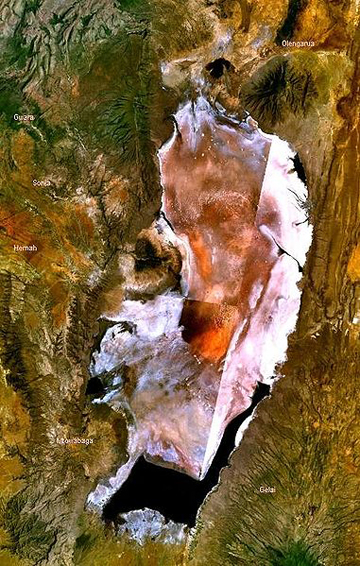Lake Natron as viewed from satellites. Image by: NASA.   