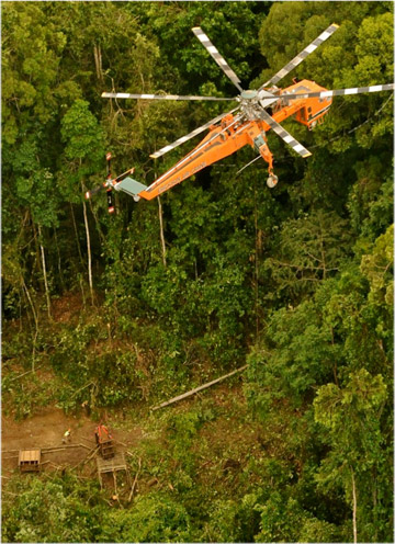 The Erickson air lift helicopter hovers above Puntung in her crate, moments before the lift. Photo by: © Dr Sen Nathan/Sabah Wildlife Department.