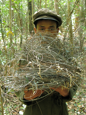  Member of a survey team holds confiscated snares.  Photo by William Robichaud.  