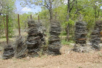 Wire snares confiscated in Zimbabwe. Photo by: Patience Gandwina.