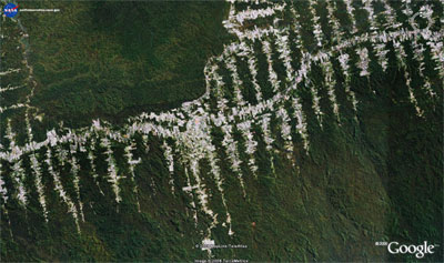 BR-230 highway near Rurópolis, Brazil in the heart of the Amazon. Image courtesy of Google Earth 