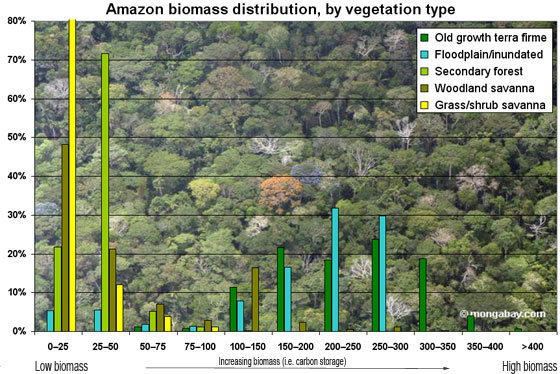 amazon-rainforest-locks-up-11-years-of-co2-emissions