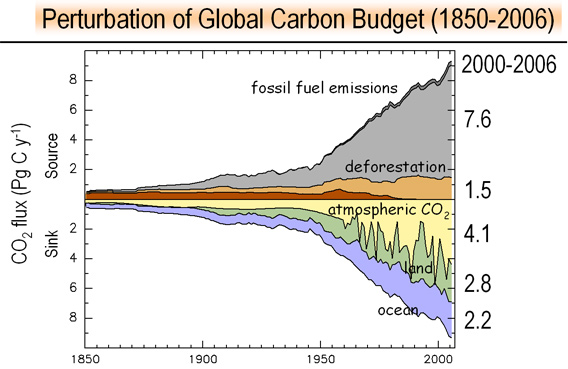 Carbon Sinks Failing To Keep Up With Emissions