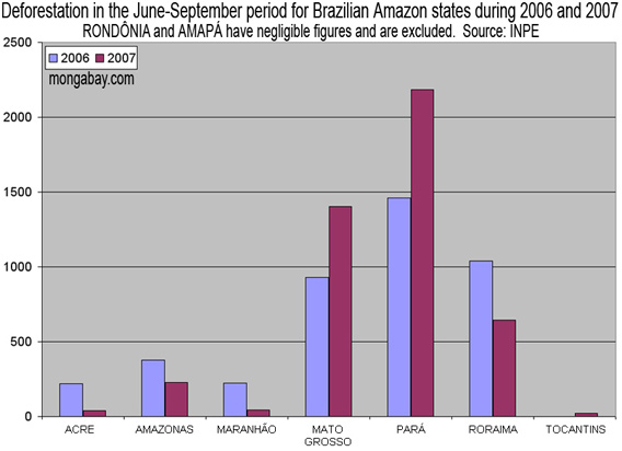 Deforestation Stats Forest Data Tables